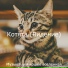 Музыка для кошек вселенная