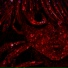 Xeanide, METHEDRXNE