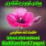 Hikmat Ullah Mahkomi