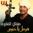 Metqal El Qenawy