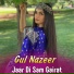 Gul Nazeer
