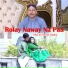 Irfan ul Hassan Saghar