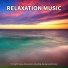 Relaxing Music for Cats, Yoga, Relaxation Music