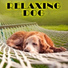Dog Music