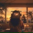 Soothing Music Collection