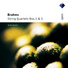 Borodin String Quartet