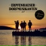 Erpfenhauser Dorfmusikanten