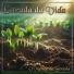 O Melhor da Seresta