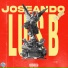luis b
