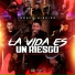 Grupo HIbrido