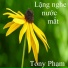 Tony Phạm