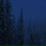 sxdløve