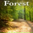 Nature Sounds