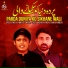 Syed Raza Abbas Shah, Syed Mehdi Raza Shah Naqvi