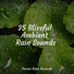 Ambient Arena, Chillout Lounge, Zen Meditate