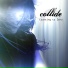 Collide