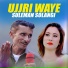 Suleman Solangi