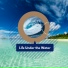 Ocean Sounds FX