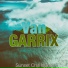 Van Garrix