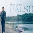 Daus Zakaria