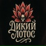 Дикий Лотос