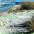 Gintautas Janulis