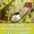 AllVideo