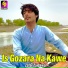 Zafar Zaidawal