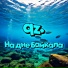 qz.