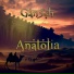 Gan3sh