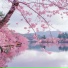 Ashig