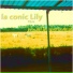 la conic Lily