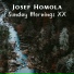 Josef Homola