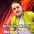 Moin Sherani