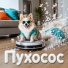 VladozzMusic, ПУХОСОС