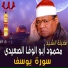 Al Sheikh Mahmoud Abo Al Wafa Al Seidy