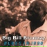 Bill Broonzy