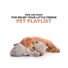 Pet Relax Academy