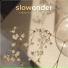 Slowonder