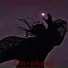 HXRIDO PLVYA feat. HELLSING CULT