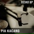 Cesko Ap
