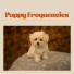 Calming Music For Pets