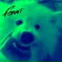 FONARI