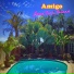 Amigo