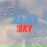 ARJEN SKY