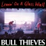 Bull Thieves