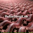 PulseSonicLab