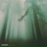 AMXNRV