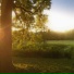 sunfade, sunw