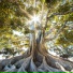 Nature Recordings, Wellness, Easy Sleep Music